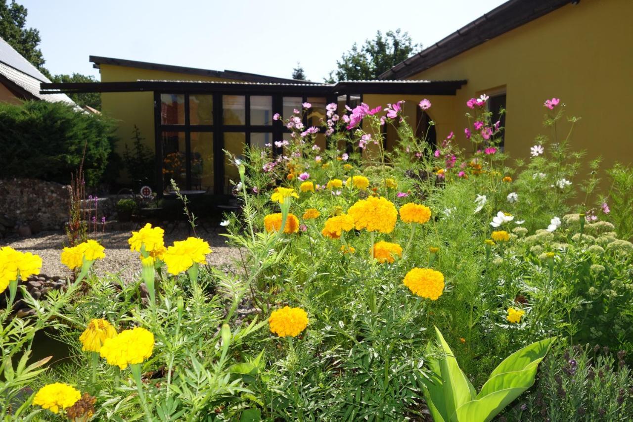 Ferienhaus "Am Gutspark" Alt Tucheband Dış mekan fotoğraf