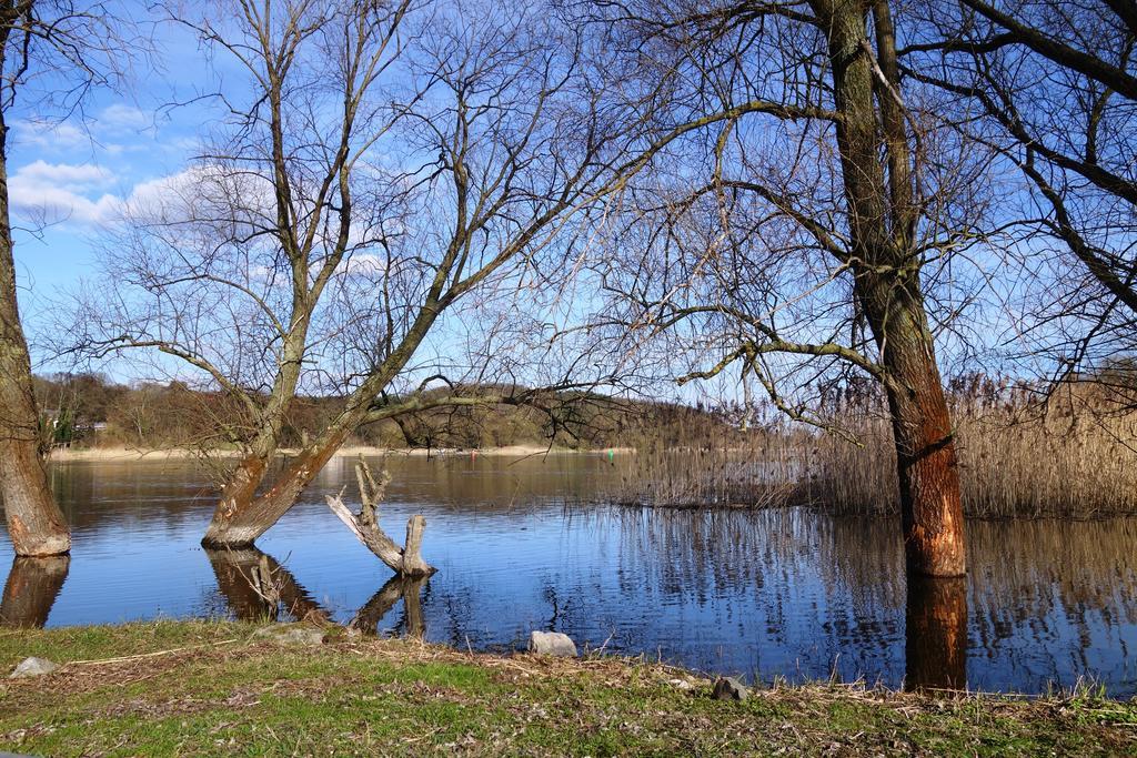 Ferienhaus "Am Gutspark" Alt Tucheband Dış mekan fotoğraf