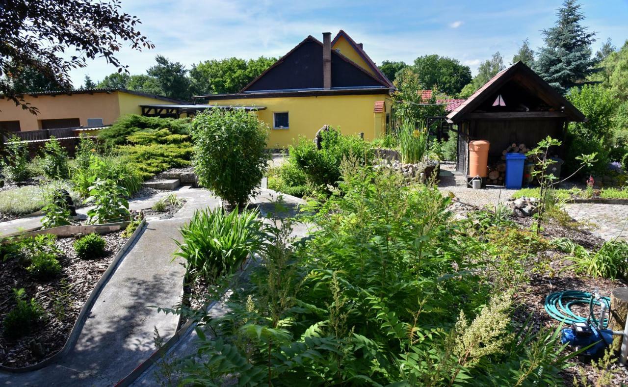 Ferienhaus "Am Gutspark" Alt Tucheband Dış mekan fotoğraf